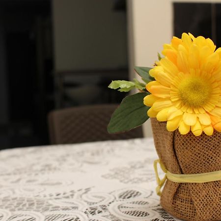 Apartamentos Excelente Ubicacion Medellín Eksteriør billede